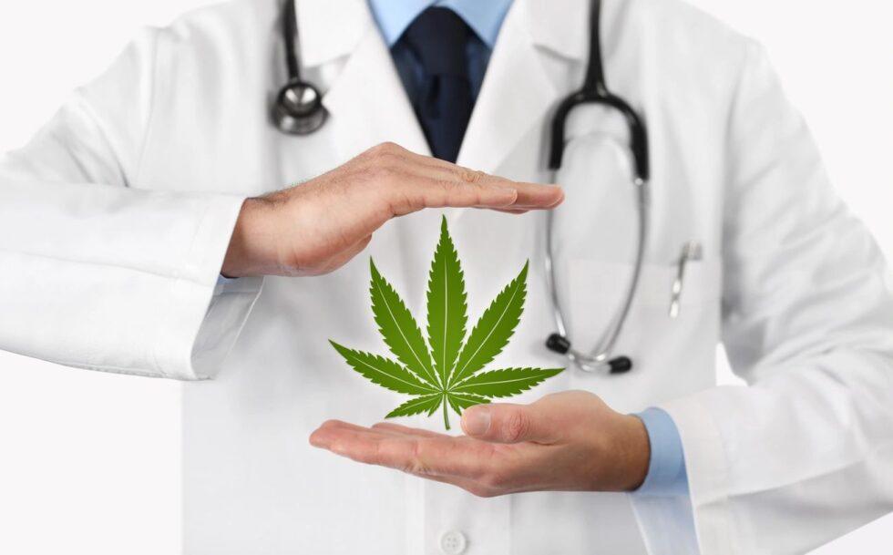 man holding animated cannabis plant