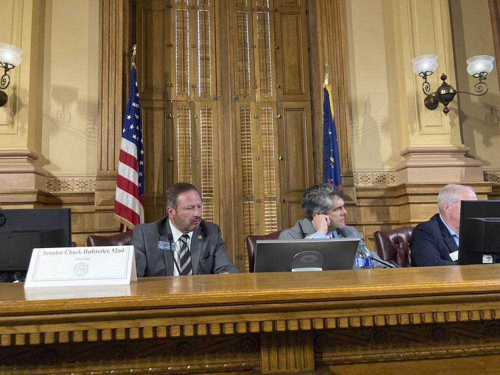 Senate Finance Committee Chairman Chuck Hufstetler, R-Rome, left, and House Ways and Means Committee Chairman Shaw Blackmon, R-Bonaire, listen to a presenter during a meeting on tax breaks on Wednesday, June 14, 2023, at the Georgia Capitol in Atlanta.