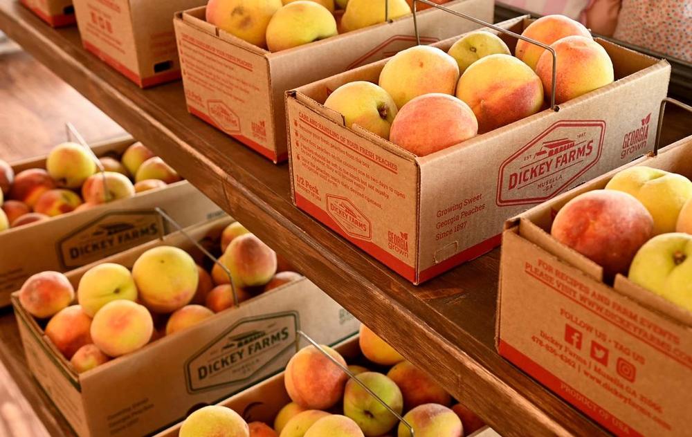 Peaches available at Dickey Farms packing house and market Monday morning in Musella. Dickey along with other Middle Georgia peach farmers sustained a substantail loss in the years crop due to lack of chill hours and a late freeze.