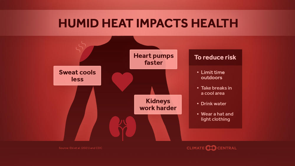 Humid heat impacts health