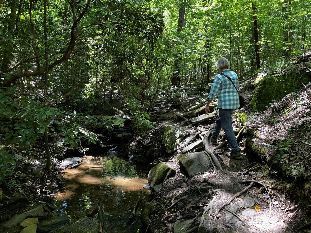 Sally Sierer Bethea follows a path through the Chattahoochee River National Recreation Area.