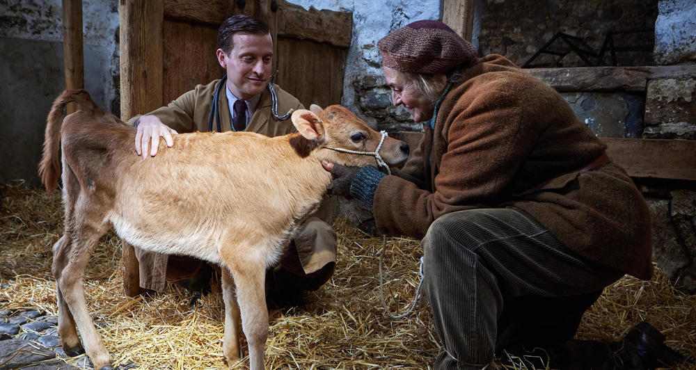 James Herriot (Nicholas Ralph) and Kate Billings (Lynda Rooke)