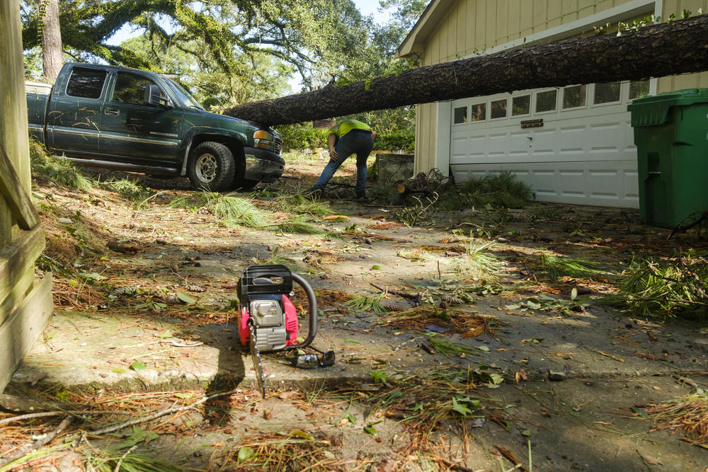 Reed Valdez ducks under the tree that came to rest on the hood of the pickup his grandfather sold to him for $1.  