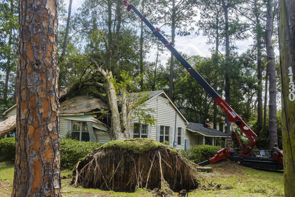 Scores of homes near the core of the South Georgia city of Valdosta were damaged by large trees felled by hurricane Idalia. That meant gridlock as residents, tree removal companies and utility workers jostled to all do the jobs they needed to do.     