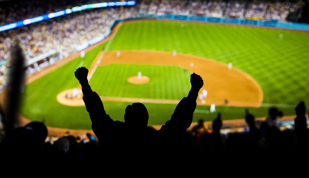 Excited fans at a baseball game.