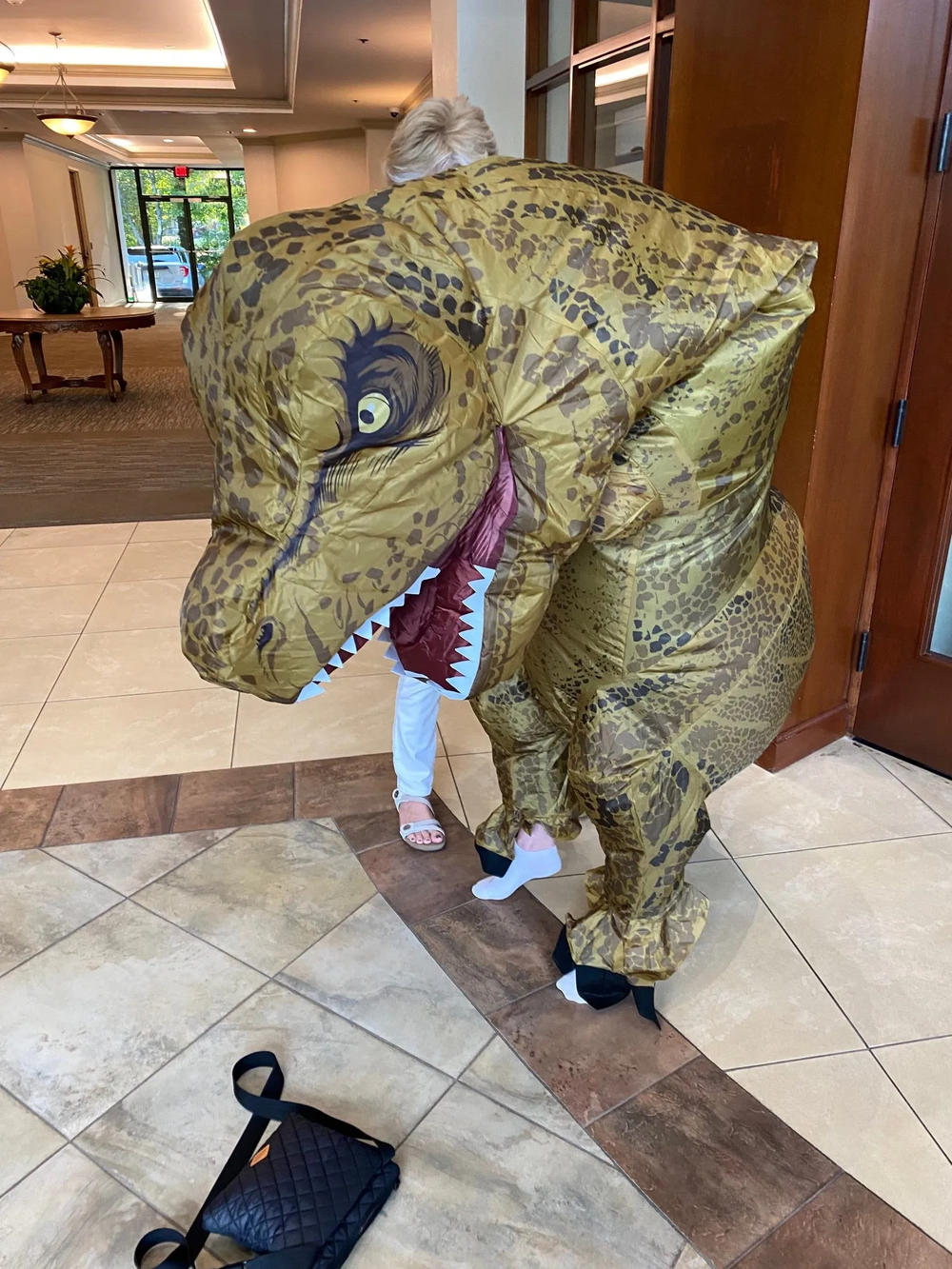 One person dressed as a dinosaur appeared at the council meeting in silent protest of the city’s ordinance.