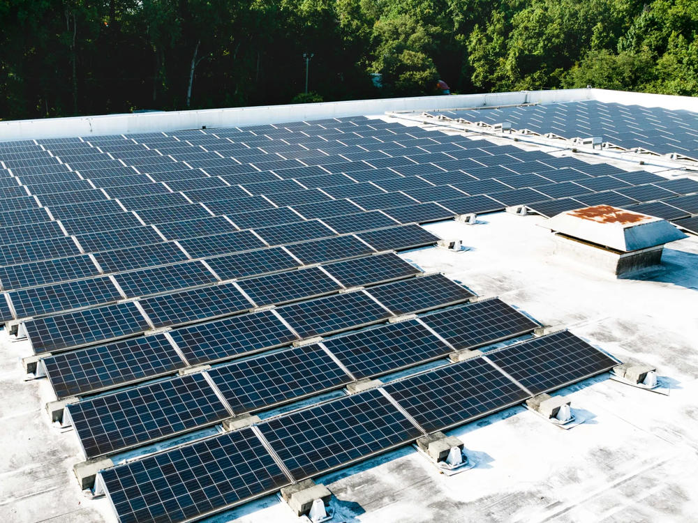Solar on the roof of Savannah Distributing Company Inc. in Savannah. 