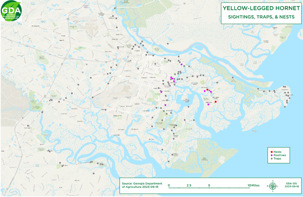 A map of sightings, traps and nests of the yellow-legged hornet in the Savannah area.