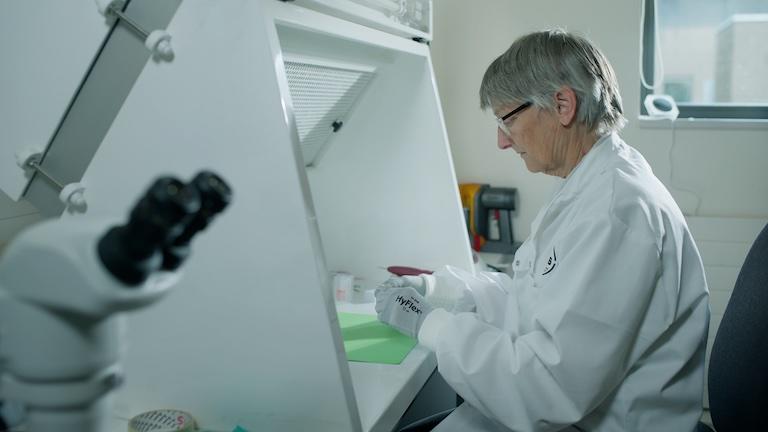 Scientist Jane Evans in a lab.