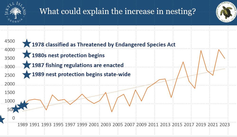 A graph of sea turtle nests in Georgia since 1989 shows an overall increase.