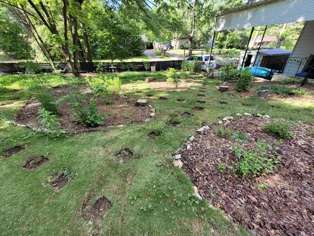 This is a “before” photo of Desensi and Anderson’s backyard before the transformationfrom 2019 to 2023 that added native flowers and plants to attract pollinators. Photo courtesy of Ashley Desensi  Read more at: https://www.ledger-enquirer.com/news/environment/article281856158.html#storylink=cpy