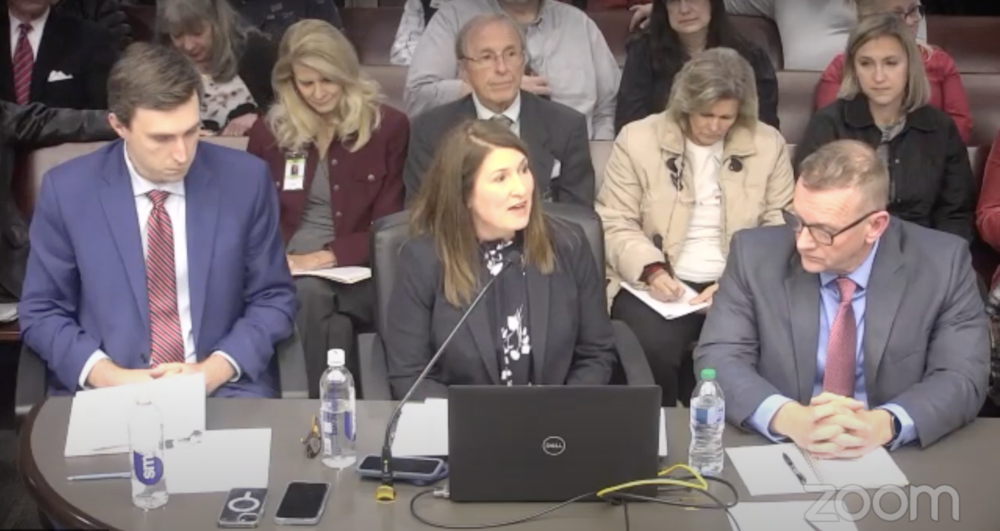 Representatives from the Georgia Secretary of State's office and Dominion Voting Systems appear before a Georgia Senate committee to answer questions about an election system software update.