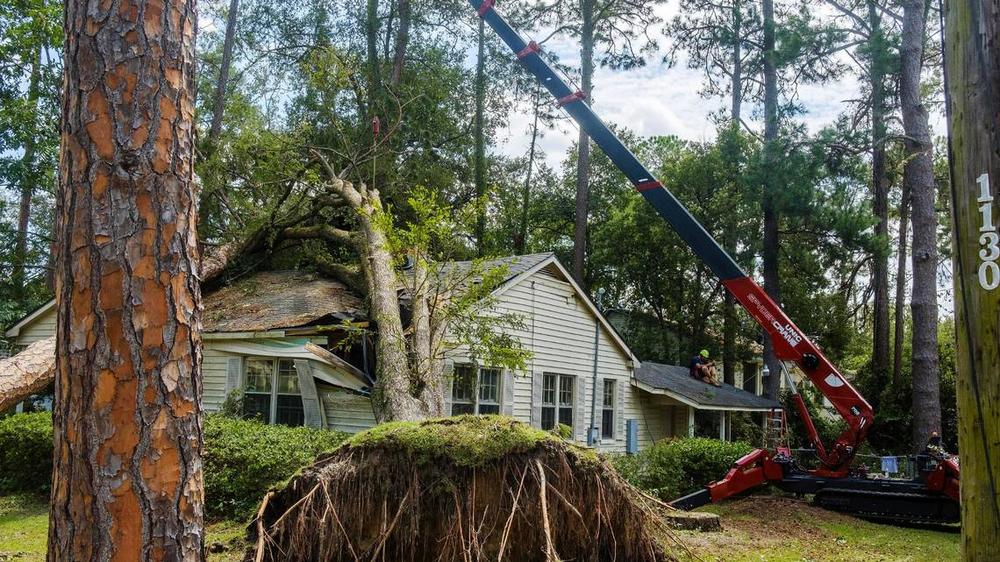 Scores of homes near the core of the South Georgia city of Valdosta were damaged by large trees felled by Hurricane Idalia. Grant Blankenship / GPB News