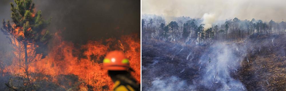 A prescribed burn at Sprewell Bluff in 2019. 