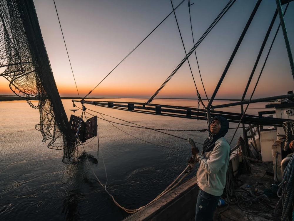 In the early morning light, deckhand Aron Drake assists in preparing the nets for a day of shrimping. Credit:Justin Taylor/The Current