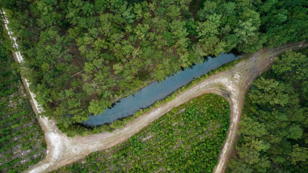 One of four proposed Bulloch County well sites to provide water for the Hyundai Metaplant. 