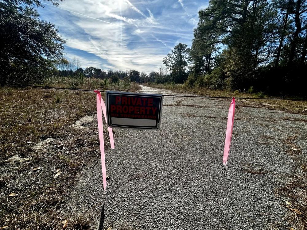 Site of the former Bear Island mobile home park, Hinesville, Dec. 21, 2023. Robin Kemp / The Current