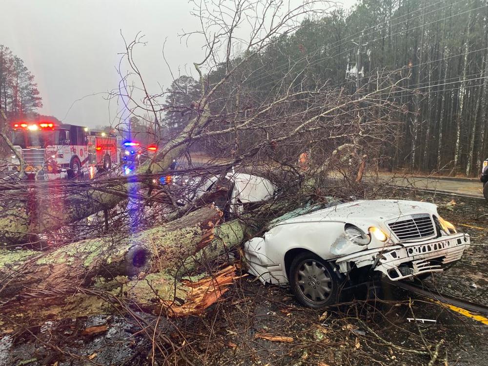 A car is shown smashed by a fallen tree.