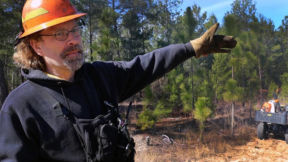 Nathan Klaus, Senior Wildlife Biologist for the Georgia DNR explaining the important of starting the burn on the perimeter. The native long-leaf pine, behind Klaus, is thriving at Sand Hill Wildlife Management Area and protected through fire. Kala Hunter khunter@ledger-enquirer.com  