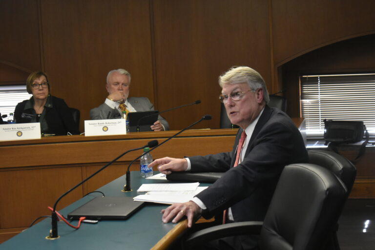 State Sen. Mike Hodges presents his union bill supported by Gov. Brian Kemp at a Senate committee hearing. Ross Williams/Georgia Recorder