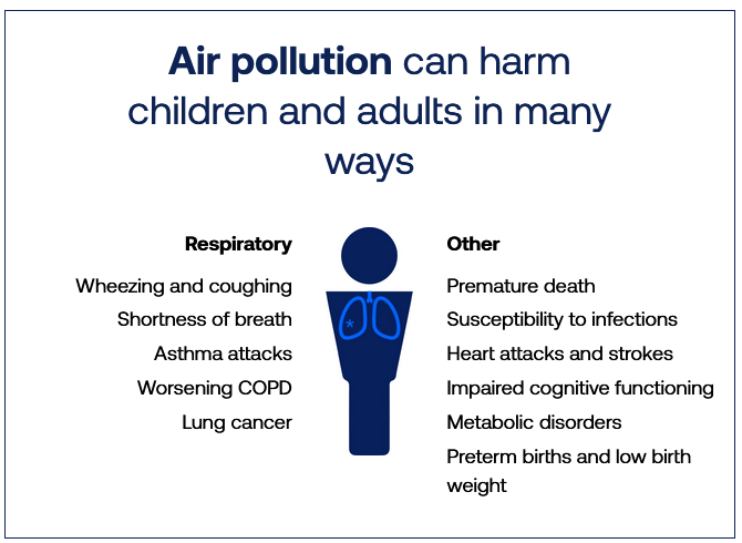 Infographic on how air pollution harms people
