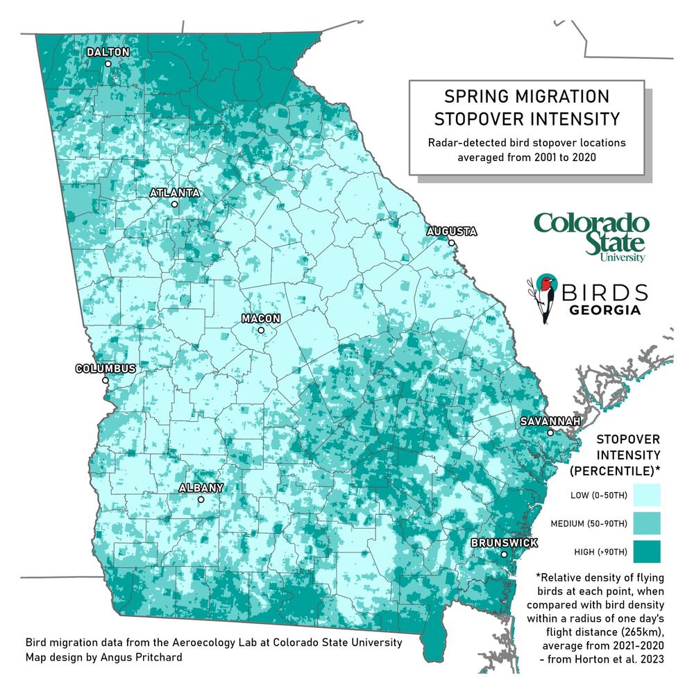 Bird migration data map