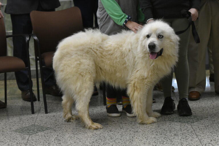 Casper