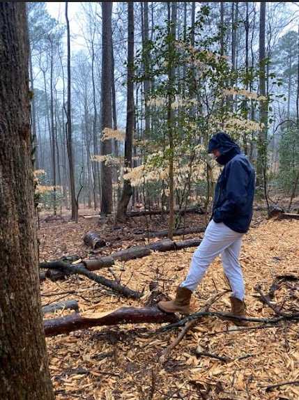 Todd Cozart surveying the trees.
