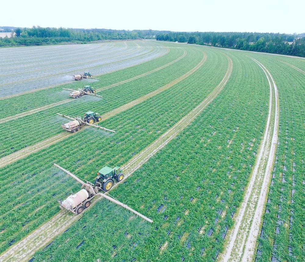 Tractors at Lewis Taylor Farms