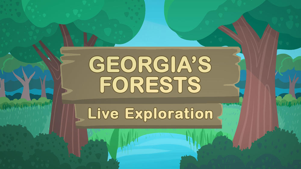 georgia's forests