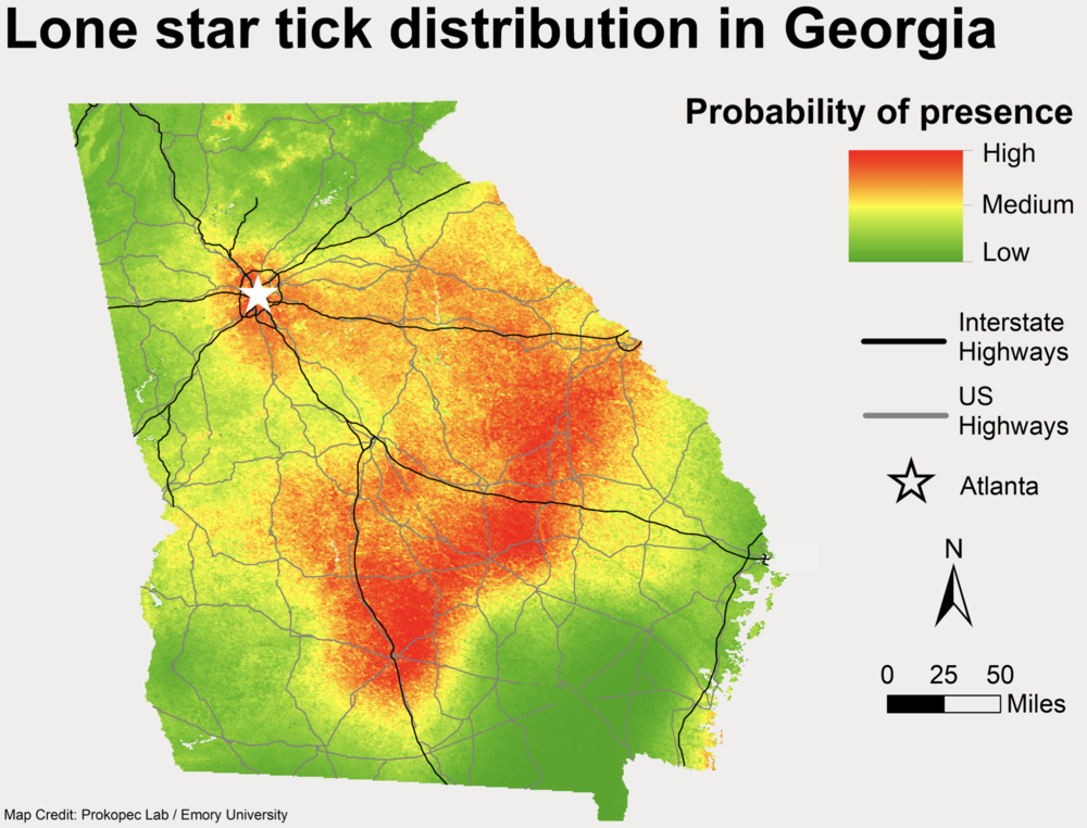 A map of the lone star tick in spring 2024