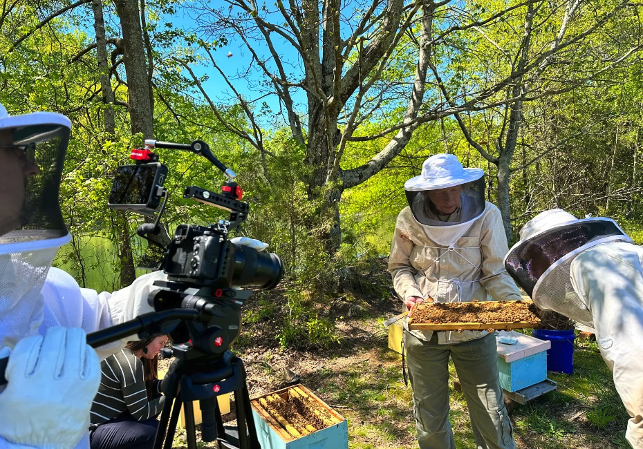 pollinators