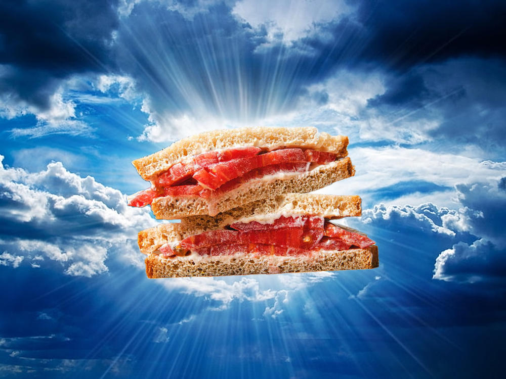 Tomato sandwich