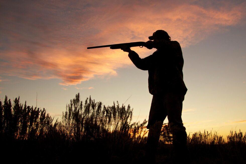 Person hunting in a Capitol Beat photo.