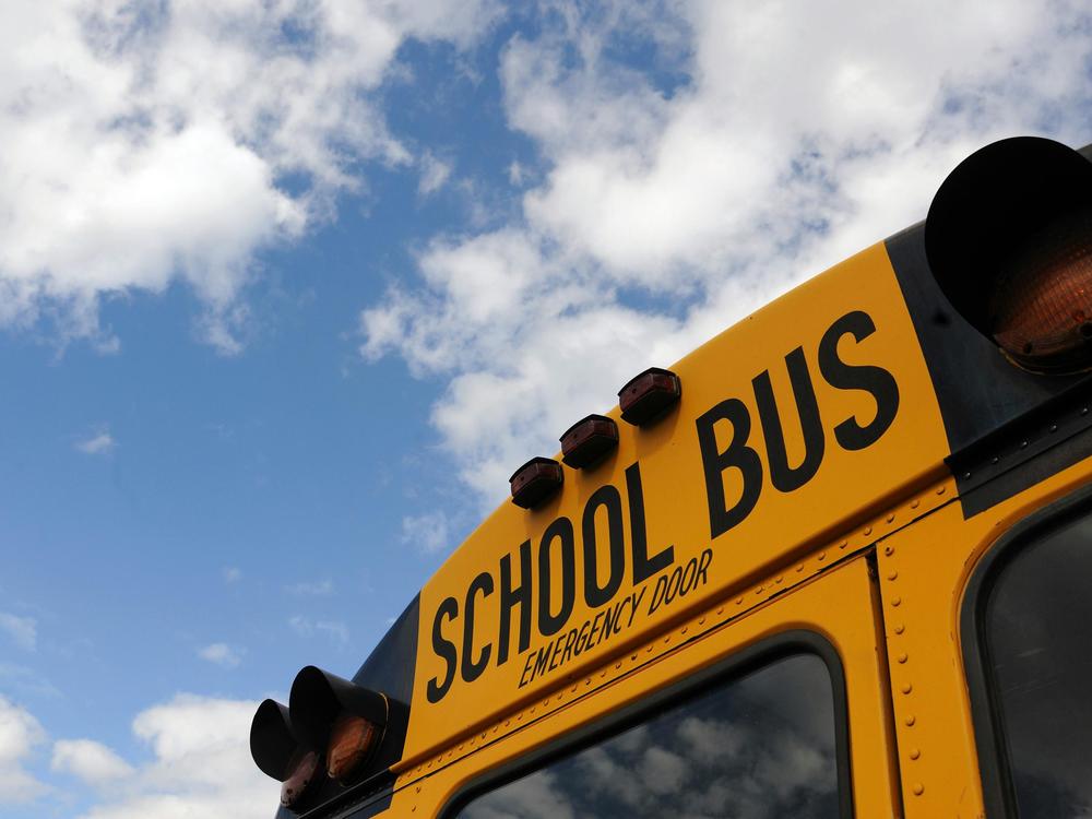 Back of a school bus.