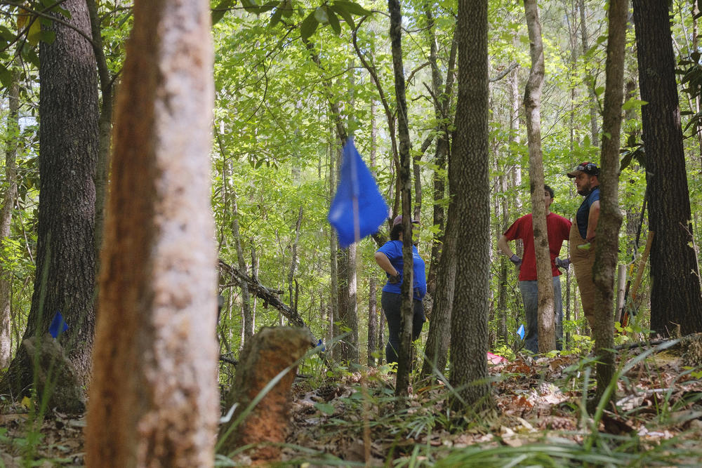 A blue pin flag, foreground, marks a spot where ground penetrating radar indicated a grave in the woods of the Penfield Cemetery. Such remote detection is only possible after volunteers move trees and undergrowth out of the way.