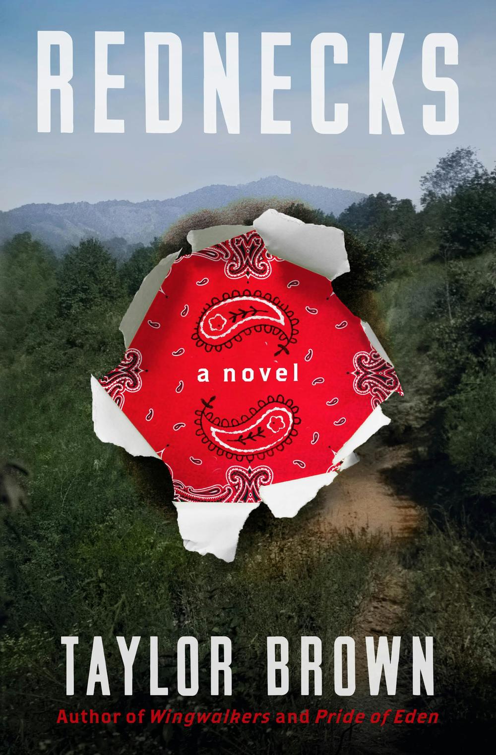 Taylor Brown's historical fiction novel "Rednecks" is centered on the Battle of Blair Mountain. 