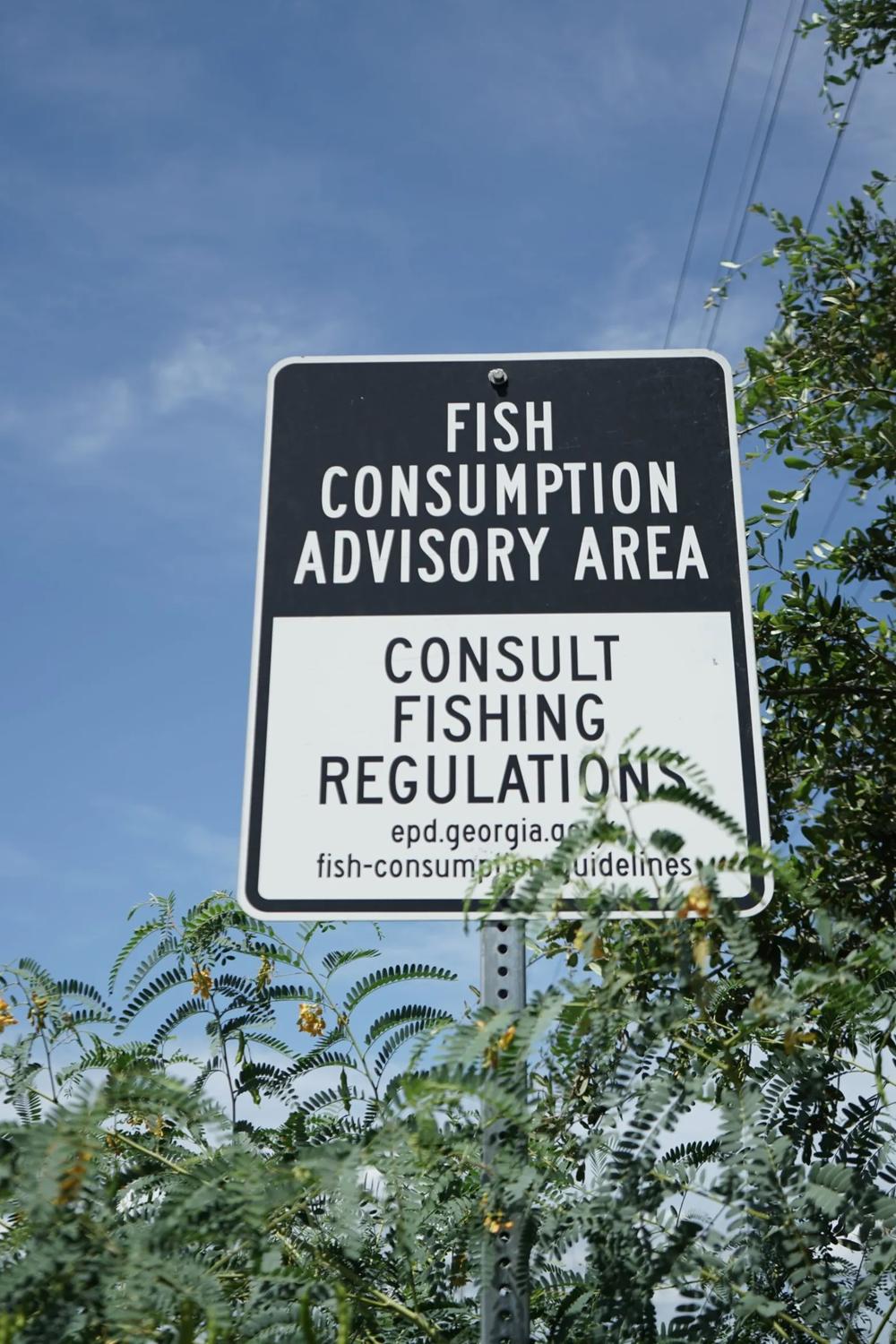 An advisory is posted to warn community members of the health risks to fishing off the F J Torras Causeway to St. Simons. Credit: Serra Sowers/The Current