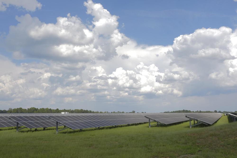 Solar farm