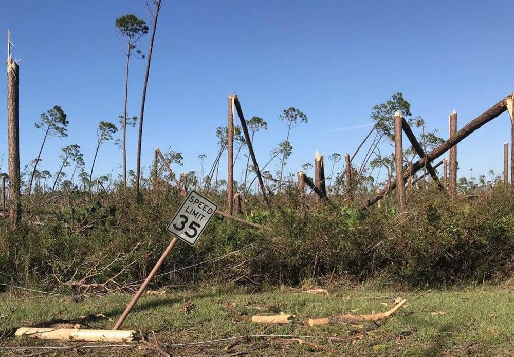 Georgia Public Service Commissioner Jason Shaw has said he embraced biomass energy after the South Georgia resident witnessed the large number of fallen trees and debris in the aftermath of Hurricane Michael in 2019. File photo