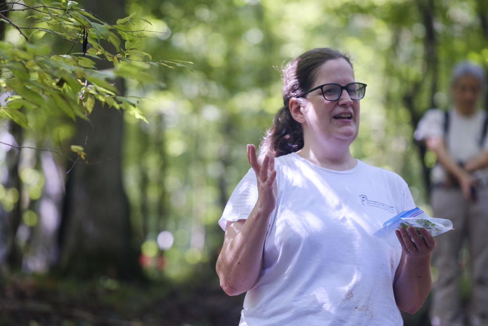 Mercer University biologist Heath Bowman Cutway explains how and why she judiciously takes samples of Fringed Campion plants from her study sites. Understanding and protecting the plant has become Bowman Cutway’s life’s work.