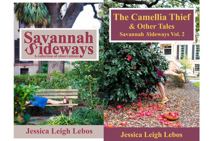 Savannah Sideways by Jessica Leigh Lebos