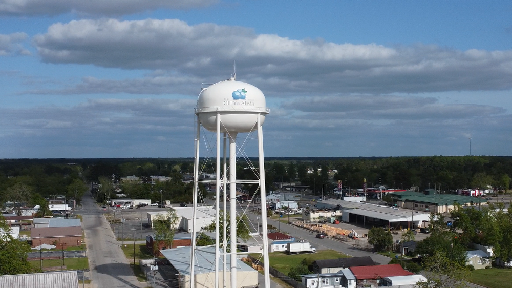 Blueberries painted on the water tower in Alma, Georgia