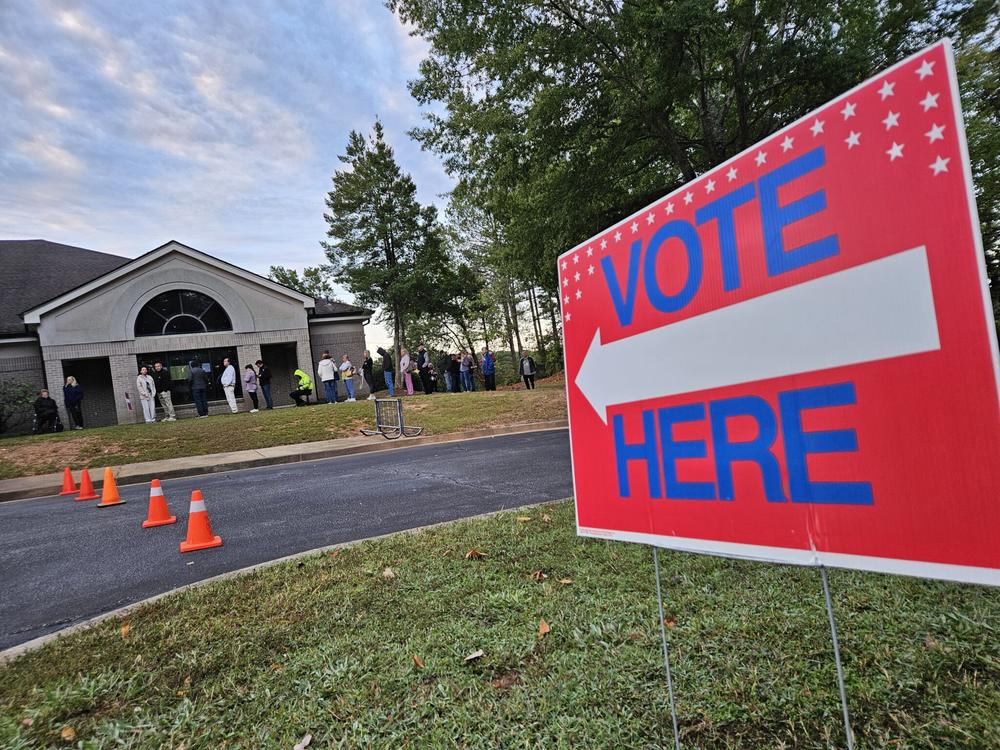  Voters line up to cast their ballots on Tuesday, despite the fact that statistically, some of them fear their votes will not be counted. Ross Williams/Georgia Recorder