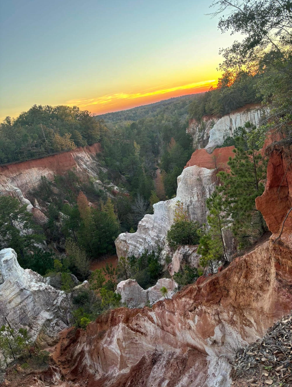 View of Providence Canyon