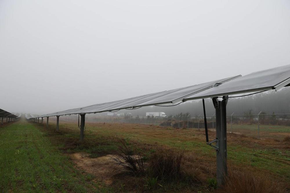 Rows of solar panels sit on land that makes up Houston Solar Project developed by Silicon Ranch on Wednesday, Feb. 12, 2025, in Elko, Georgia. The more than 700 acre solar farm sits perpendicular to I-75 and generates 68 megawatts of power, which is around 11,000 Georgia households. Katie Tucker/The Telegraph  