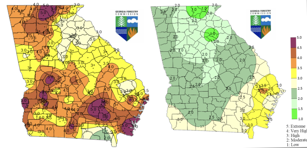 These images images show a temporary reduction in the wildfire danger rating between March 4, 2025 (left) and March 5, 2025 (right). But forestry officials warn that conditions remain high risk for March and the months ahead.