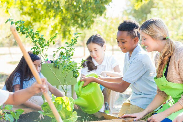 Teacher and students tend a tree outside.