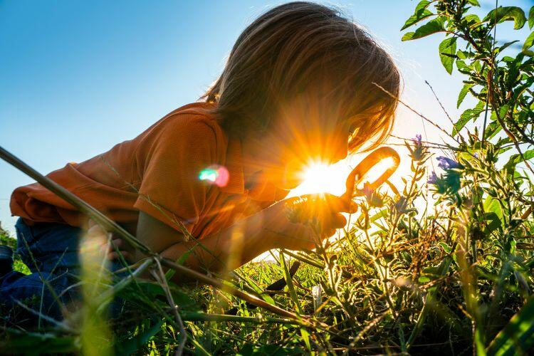 A boy uses a magnifying glass outside.