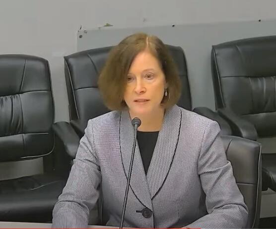 Patty Durand testifies at the PSC. Credit: Youtube screen shot. 